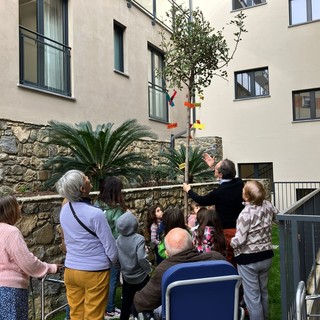 Sanremo: Giornata degli alberi e dei diritti del fanciullo, piantato albero presso la Residenza Julia