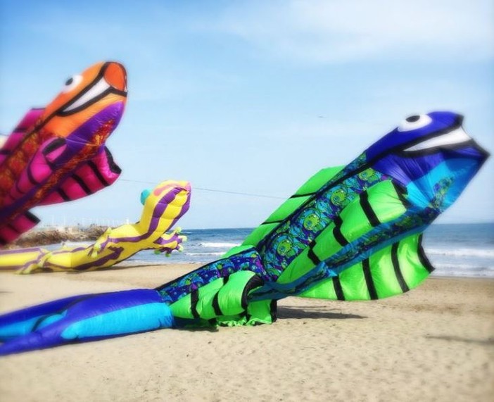 Imperia, torna “Sol&amp;vento – Energia di Primavera”: aquiloni, sport e cultura per la 25ª edizione