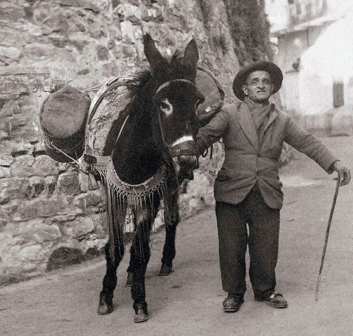 'Sanremo e l'Europa', la mostra a Santa Tecla: quando, come e perché la terra di Sanremo era fertile ma... 'Sanremo e l'Europa', la mostra a Santa Tecla: quando, come e perché la terra di Sanremo era fertile ma...