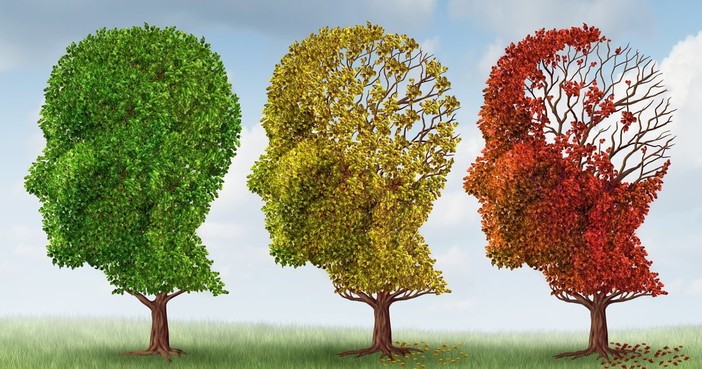 Giornata mondiale dell’Alzheimer: in Liguria rete di servizi e centri dedicati per diagnosi precoce e presa in carico dei pazienti Giornata mondiale dell’Alzheimer: in Liguria rete di servizi e centri dedicati per diagnosi precoce e presa in carico dei pazienti