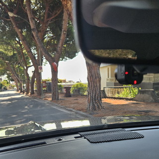 Sanremo: via Padre Semeria invasa dagli aghi di pino, la segnalazione con foto di un abitante