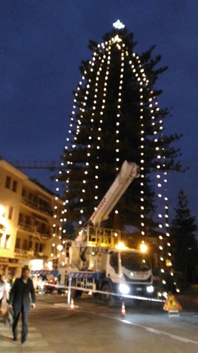 Taggia: ecco l'Albero di Natale di Arma, 34 metri illuminati da una stella sulla cima e dalle luminarie a cascata Taggia: ecco l'Albero di Natale di Arma, 34 metri illuminati da una stella sulla cima e dalle luminarie a cascata