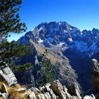 Immagine d'archivio Immagine d'archivio