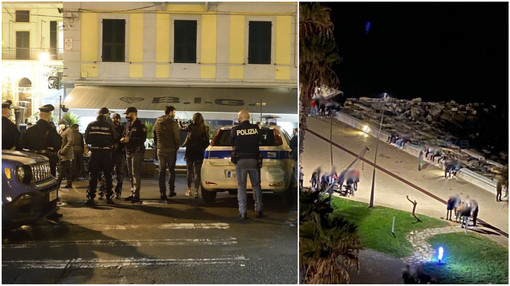 Sanremo: anti Covid nel cuore della movida, ieri sera controlli interforze (foto) Sanremo: anti Covid nel cuore della movida, ieri sera controlli interforze (foto)
