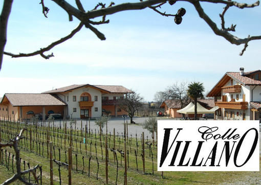 Agriturismo dell'Azienda Agricola Colle Villano, aromi e sapori del vino del Friuli