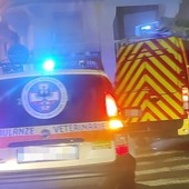 Intervento oltreconfine, cane investito in Francia salvato da Ambulanze Veterinarie Odv