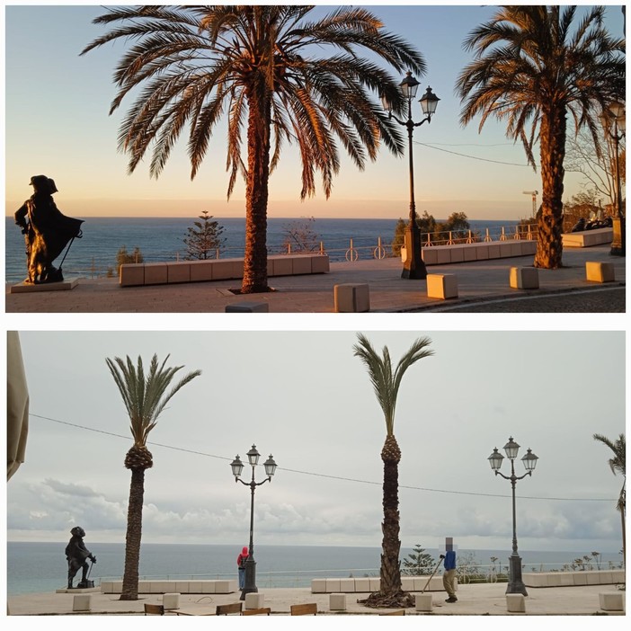 Ventimiglia, "Alberi potati nella città alta, è uno scempio": la segnalazione (Foto)