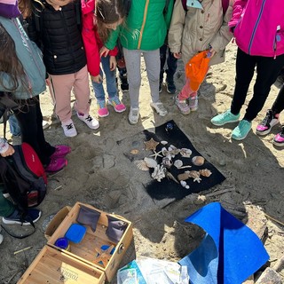 Oltre 3.700 alunni nelle “Aule in riva al mare” che il nostro territorio offre tutto l’anno