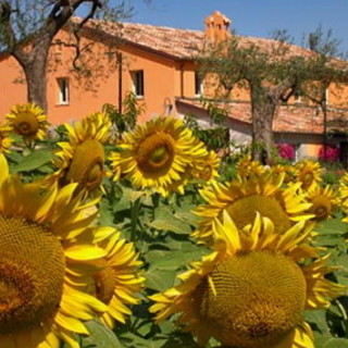 Domenica prossima l'8a Giornata Nazionale dell’Agriturismo, la tua casa in campagna