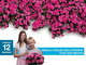Domenica 12 maggio, Festa della Mamma: l’Azalea della Ricerca di AIRC colora 3700 piazze per rendere i tumori femminili sempre più curabili