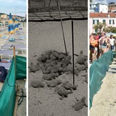 Tartarughe ad Arma di Taggia, nessuna nascita nella notte: 26.592 utenti collegati in 6 giorni per la diretta streaming (Foto e video) Tartarughe ad Arma di Taggia, nessuna nascita nella notte: 26.592 utenti collegati in 6 giorni per la diretta streaming (Foto e video)