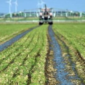 Superato il 60% delle anomalie che bloccavano i contributi pubblici sulle polizze stipulate tra il 2015 e il 2022, la soddisfazione di Confagricoltura Liguria Superato il 60% delle anomalie che bloccavano i contributi pubblici sulle polizze stipulate tra il 2015 e il 2022, la soddisfazione di Confagricoltura Liguria