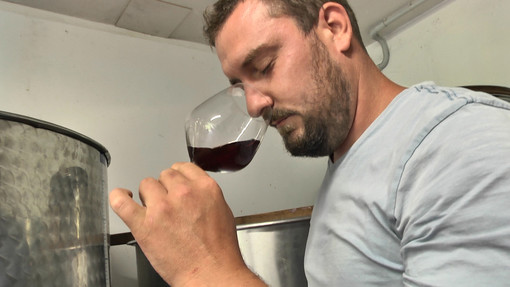Dolceacqua (IM): tutta la bellezza del Rossese ed il suo legame con il territorio nella bontà dei vini della cantina Ascari