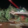 Albero crollato a Ventimiglia, Di Muro: “Era tra i 26 pini da abbattere. La sicurezza dei cittadini viene prima di tutto” Albero crollato a Ventimiglia, Di Muro: “Era tra i 26 pini da abbattere. La sicurezza dei cittadini viene prima di tutto”