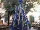 Imperia: posizionato questa mattina l'albero di Natale dei cittadini in piazza Bianchi