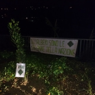 Imperia: Casapound pianta albero di alloro ed affigge striscione per celebrare la festa dell'albero