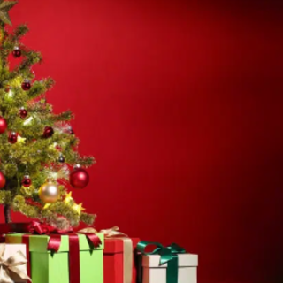 Sanremo: ‘PiantiAmo il Futuro’: l’iniziativa del Comune e dei Rangers per donare nuova vita agli alberi di Natale