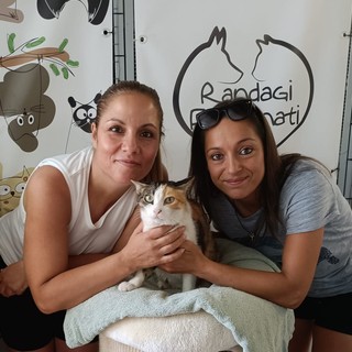 Ventimiglia: Fedele e Gangemi (associazione Randagi Fortunati) entrano nel direttivo di Azzurro Donna