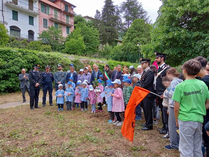 Giornata della legalità, Pigna pianta l'albero di Falcone (Foto)