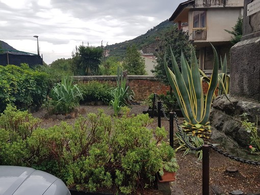 L'aiuola adottata dal comitato di Bevera L'aiuola adottata dal comitato di Bevera
