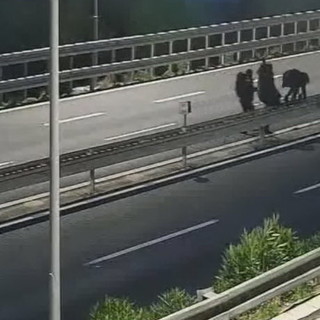 Tenta di far passare il confine a 15 extracomunitari, passeur arrestato dalla polizia sulla A10 (Video)