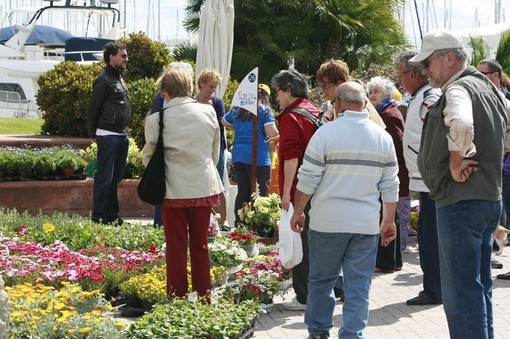 Marina degli Aregai: al via la 6^ edizione della manifestazione 'Aregai in Fiore' Marina degli Aregai: al via la 6^ edizione della manifestazione 'Aregai in Fiore'