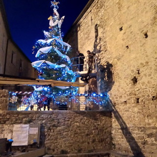 Pigna: anche quest'anno l'Albero di Natale addobbato svetta in piazza XX Settembre