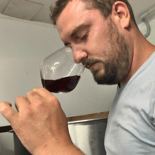 Dolceacqua (IM): tutta la bellezza del Rossese ed il suo legame con il territorio nella bontà dei vini della cantina Ascari