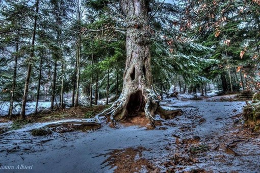 L'associazione 'Amici di San Romolo' risponde a tutte le lamentele, le generalizzazioni e le illazioni di chi frequenta poco San Romolo