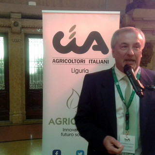 Aldo Alberto Aldo Alberto