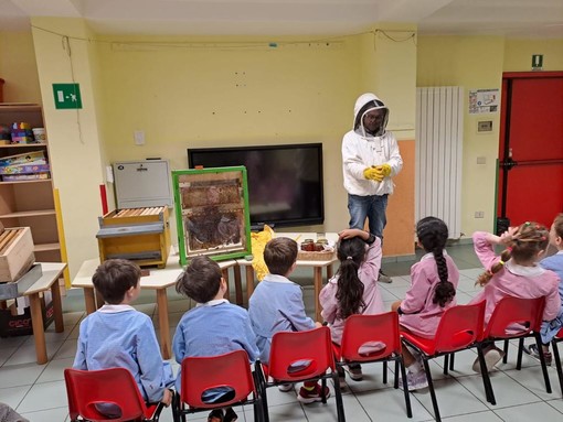 Apicoltura a scuola con i bambini della scuola dell'infanzia di Arma e Castellaro (foto)