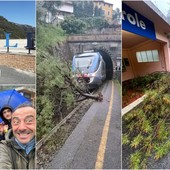 Airole, albero cade sulla linea ferroviaria: sindaco e residenti al lavoro per sgomberare i binari (Foto)