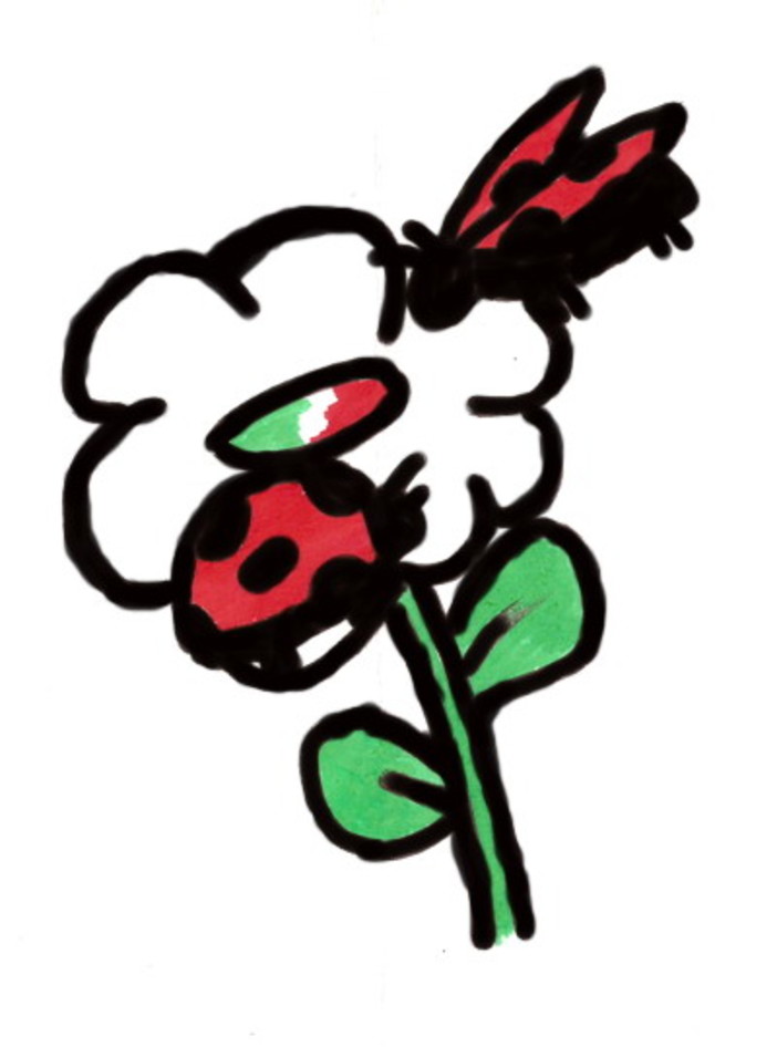 Morte del caporale Tiziano Chierotti: cordoglio dell'associazione Coccinella di Sanremo