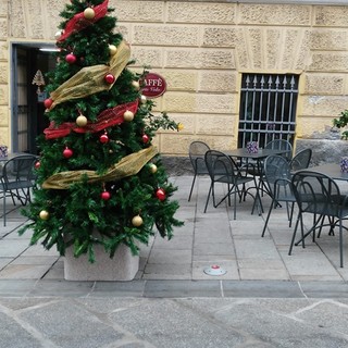 Imperia: in via Cascione, il comitato ha allestito due alberi di Natale (foto)