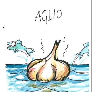 Cucinare in barca: i piccoli segreti di Roberto Pisani