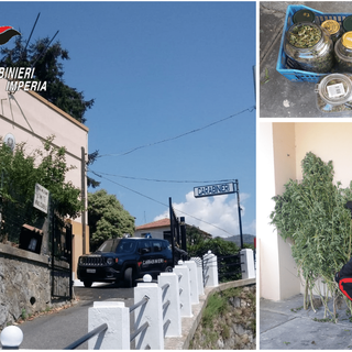 Dolceacqua: servizio antidroga in Val Nervia, 57enne arrestato dai Carabinieri. Aveva 20 piante di canapa (Foto)