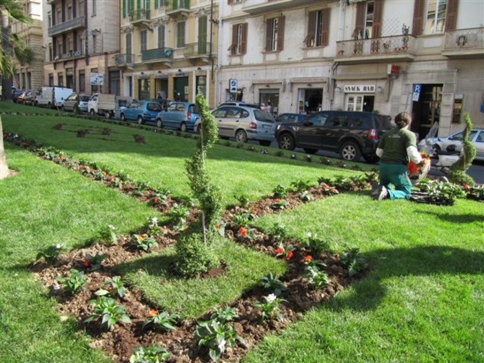 Sanremo: rinnovato per due anni il servizio di manutenzione del verde pubblico in città