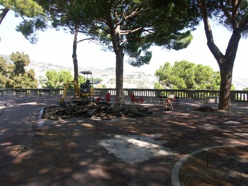Sanremo: albero sradicato dal vento ai giardini 'Regina Elena', un lettore "Salviamolo!"