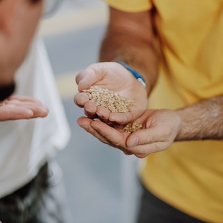Sanremo: Giovanni Senese unico ligure per il progetto "Adotta un Raccolto"