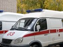 Ceriana, tragedia in campagna: punto da vespe, muore 68enne austriaco per shock anafilattico Ceriana, tragedia in campagna: punto da vespe, muore 68enne austriaco per shock anafilattico