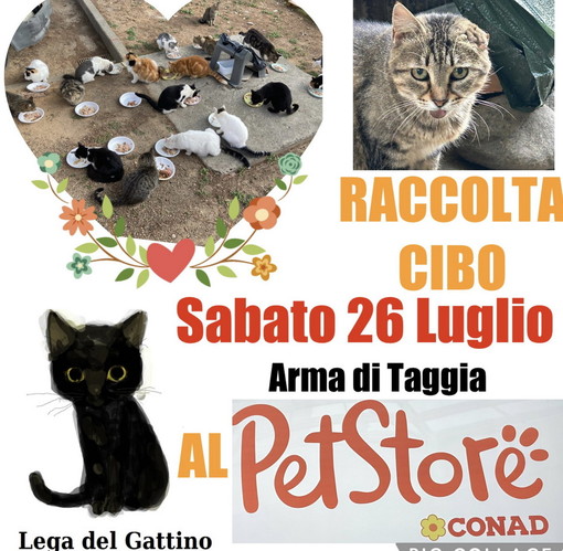 Domani al Pet Store di Arma di Taggia raccolta cibo per i gatti e gattini randagi Domani al Pet Store di Arma di Taggia raccolta cibo per i gatti e gattini randagi