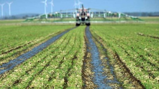 Pac: Coldiretti Liguria:"Risorse solo ai veri agricoltori, no a fondo unico" Pac: Coldiretti Liguria:"Risorse solo ai veri agricoltori, no a fondo unico"