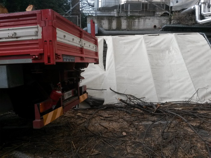 Imperia: il forte vento provoca la caduta di un albero accanto all'ingresso del Pronto Soccorso