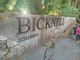 Bordighera, al Museo Bicknell visite speciali tra tesori nascosti, erbari storici e giornali della Belle Époque