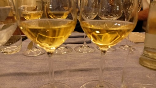 Bordighera, al via il corso di I livello per aspiranti sommelier di Aspi Riviera dei Fiori (Foto)