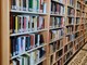 Libri 'da asporto' alla biblioteca Novaro di Diano Marina: ritorna il servizio per la zona rossa