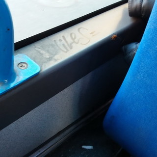 Scarafaggi su un bus della RT, l'indignata segnalazione di un lettore (foto)
