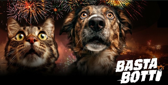 Capodanno e sicurezza, l’appello di Nova Kronos: “I botti sono un’abitudine anacronistica, servono cultura e prevenzione” Capodanno e sicurezza, l’appello di Nova Kronos: “I botti sono un’abitudine anacronistica, servono cultura e prevenzione”