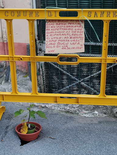 Sanremo: vaso di fiori in un buco nell'asfalto di via Tasciaire, la simpatica provocazione di un abitante