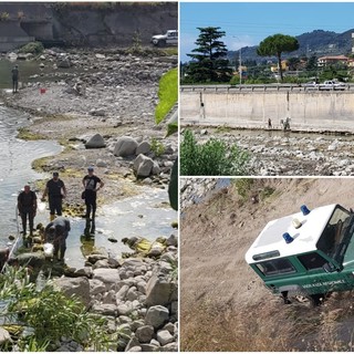 Taggia: nuove briglie per la sicurezza del torrente Argentina, vigilanza regionale preleva campioni Taggia: nuove briglie per la sicurezza del torrente Argentina, vigilanza regionale preleva campioni